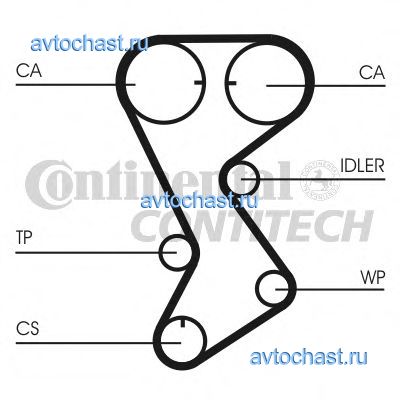 CT1144 CONTITECH 