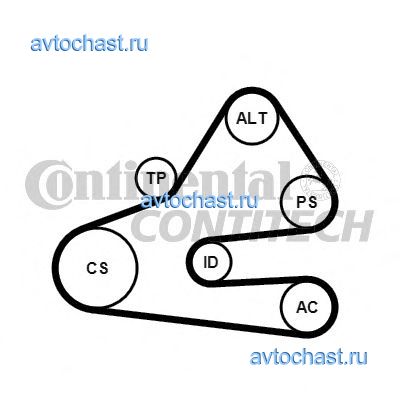 6PK1613K1 CONTITECH 