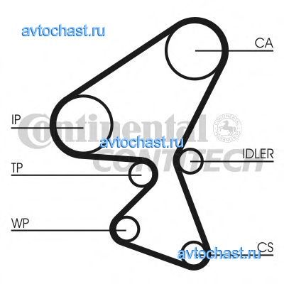 CT1063WP1 CONTITECH 