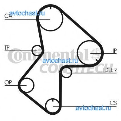 CT596 CONTITECH 