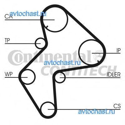 CT772 CONTITECH 