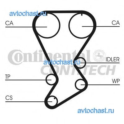 CT812 CONTITECH 