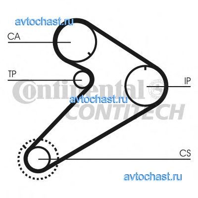 CT921 CONTITECH 