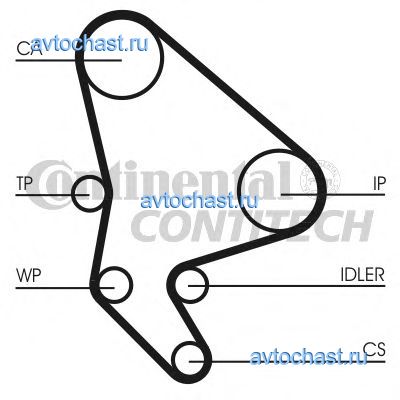 CT1037WP1 CONTITECH 