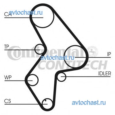 CT1061WP1 CONTITECH 