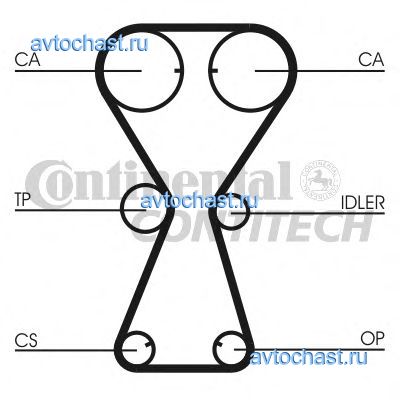 CT826 CONTITECH 