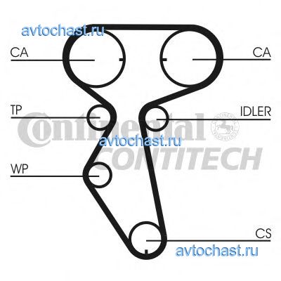 CT887 CONTITECH 