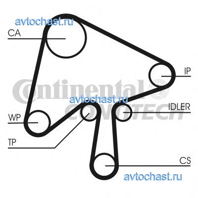 CT1136 CONTITECH 