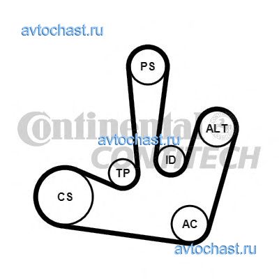 6PK1795K1 CONTITECH 