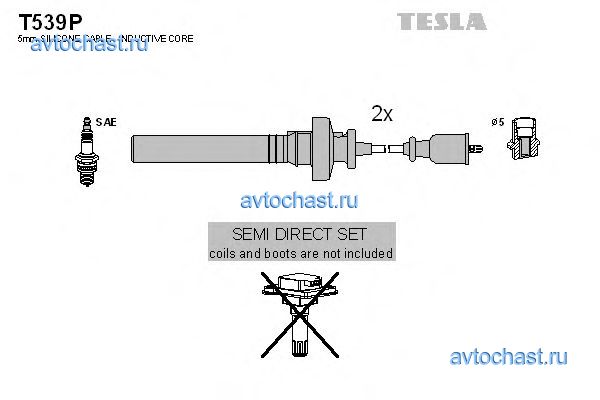 T539P TESLA 