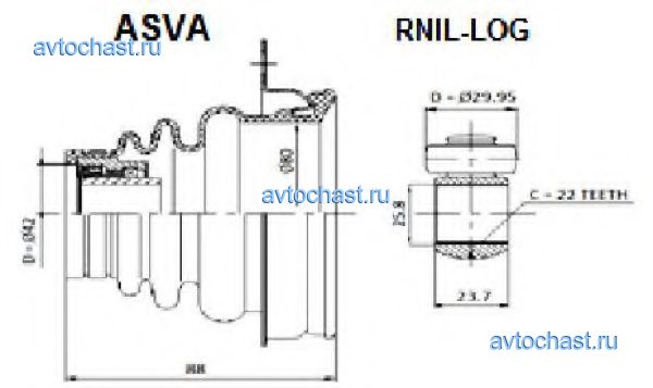 RNILLOG ASVA 