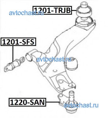 1201TRBJ ASVA ����