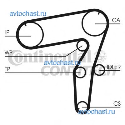 CT918 CONTITECH 