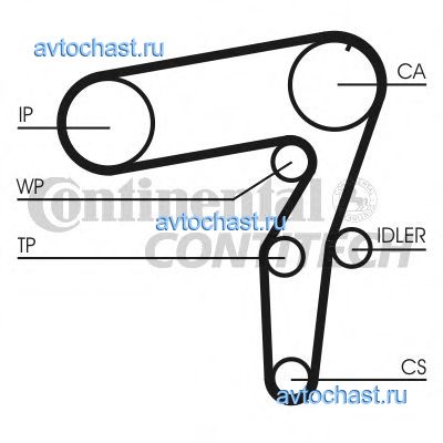 CT968K1 CONTITECH 