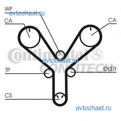 CT1147 CONTITECH 