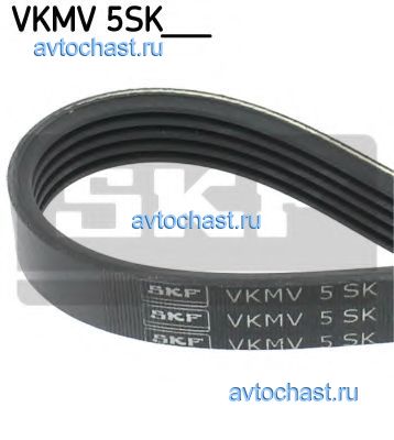 VKMV5SK868 SKF 