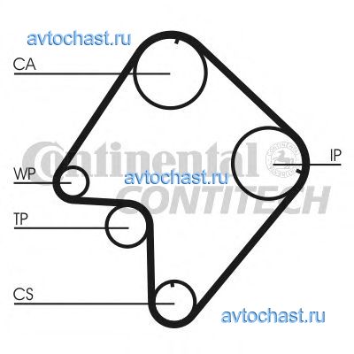 CT832 CONTITECH 