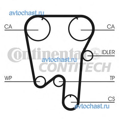 CT902 CONTITECH 