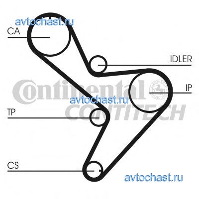 CT1034 CONTITECH ФОТО