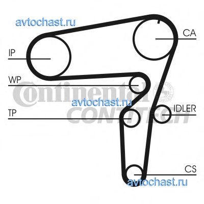 CT1076 CONTITECH 