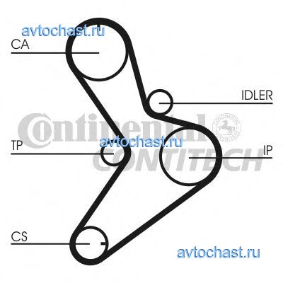 CT1038 CONTITECH 