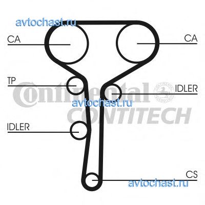 CT977 CONTITECH 