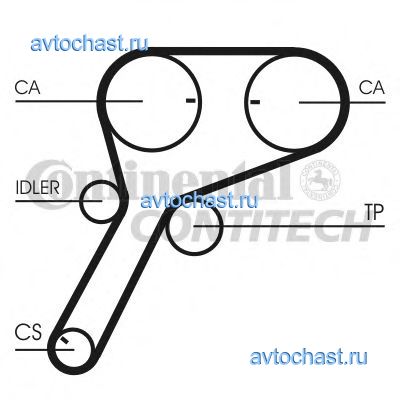 CT1151 CONTITECH 