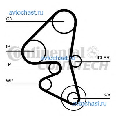 CT1162 CONTITECH 