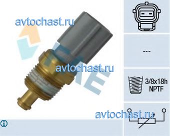 33734 FAE ����