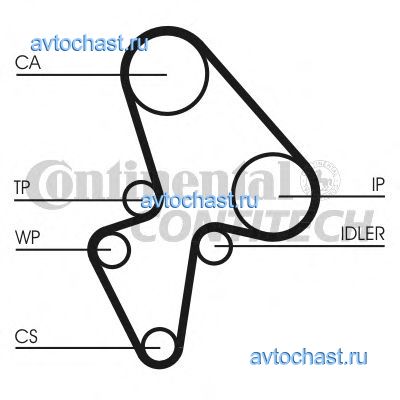 CT906 CONTITECH 