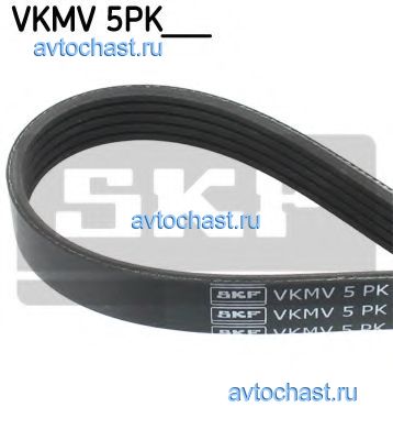 VKMV5PK850 SKF 