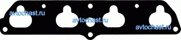 715348700 REINZ ����