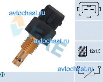 33535 FAE ����