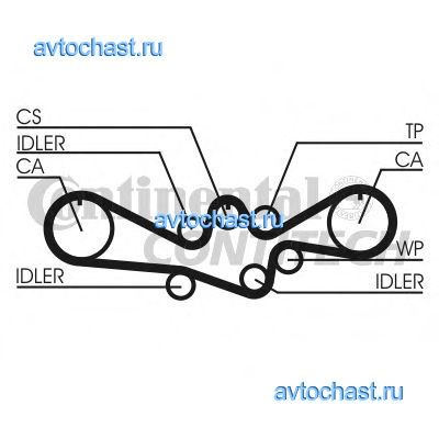 CT792 CONTITECH 