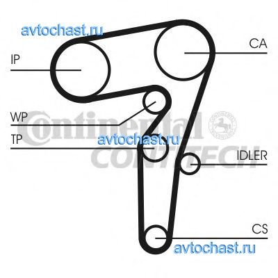 CT1155 CONTITECH ����