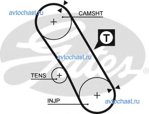 5061XS GATES 