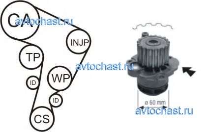 WPK177701 AIRTEX 