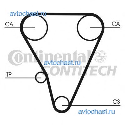 CT555 CONTITECH 