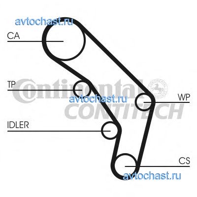 CT755WP1 CONTITECH 