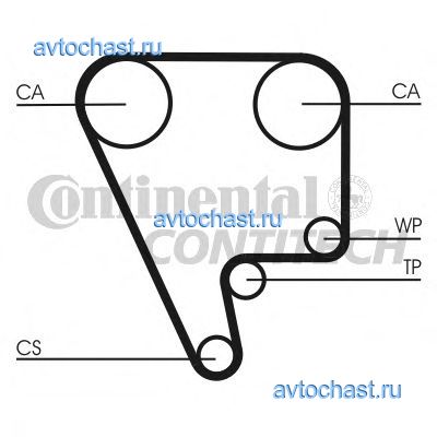 CT556 CONTITECH 