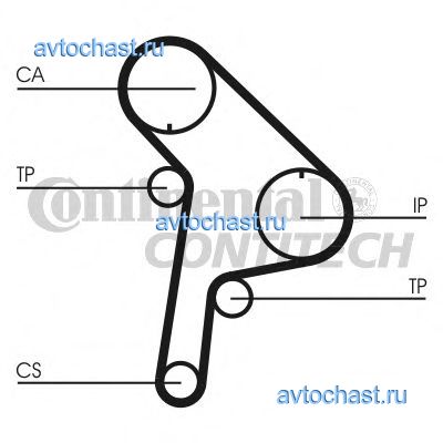 CT951 CONTITECH 