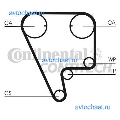 CT794 CONTITECH 