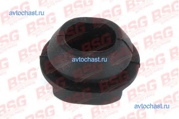 BSG30700211 BSG ����