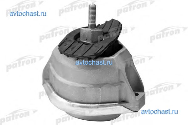 PSE3729 PATRON ����