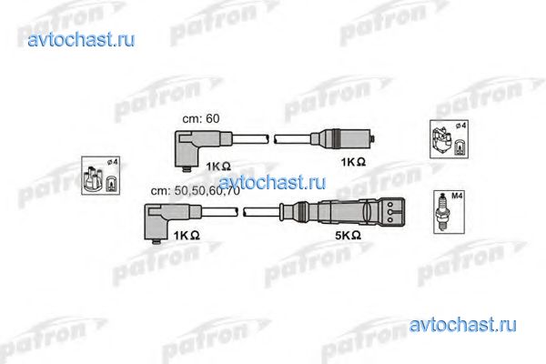 PSCI1013 PATRON 