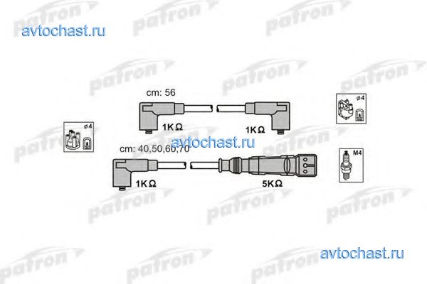 PSCI1017 PATRON 