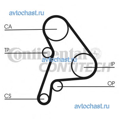 CT1012K2 CONTITECH 