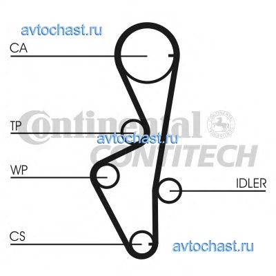 CT916 CONTITECH 