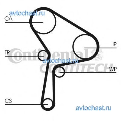 CT1025 CONTITECH 