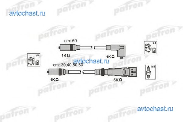 PSCI1000 PATRON 